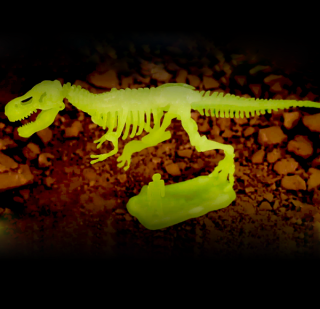 GFT Sada pre malých archelógov Tyranosaurus Rex
