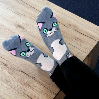 GFT Veselé ponožky s mačičkou šedé